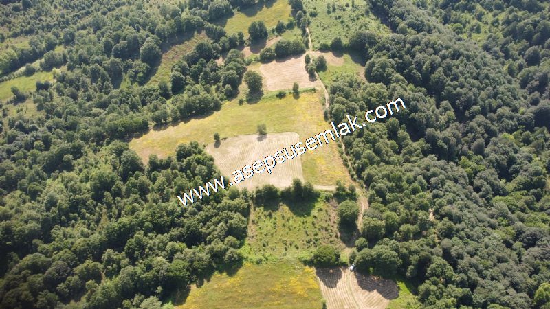 4.607 m2 Resmi Kadastro Yola & Orman Cepheli Hobi Bağ-Bahçesi