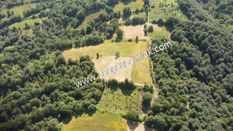 4.607 m2 Resmi Kadastro Yola & Orman Cepheli Hobi Bağ-Bahçesi