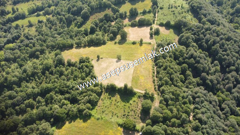 4.607 m2 Resmi Kadastro Yola & Orman Cepheli Hobi Bağ-Bahçesi