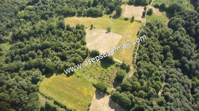 4.607 m2 Resmi Kadastro Yola & Orman Cepheli Hobi Bağ-Bahçesi