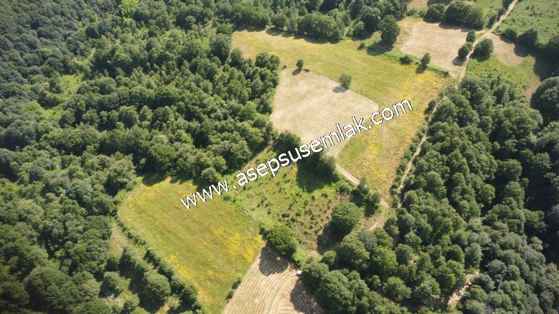 4.607 m2 Resmi Kadastro Yola & Orman Cepheli Hobi Bağ-Bahçesi