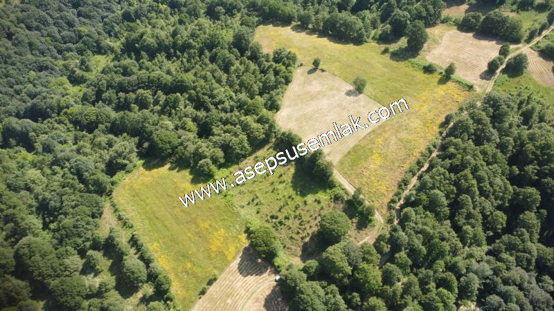 4.607 m2 Resmi Kadastro Yola & Orman Cepheli Hobi Bağ-Bahçesi