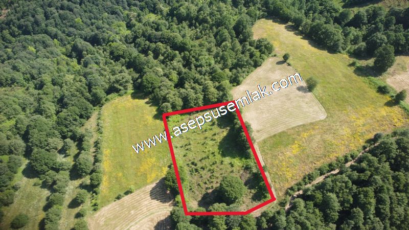 4.607 m2 Resmi Kadastro Yola & Orman Cepheli Hobi Bağ-Bahçesi