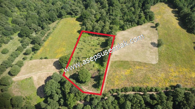 4.607 m2 Resmi Kadastro Yola & Orman Cepheli Hobi Bağ-Bahçesi