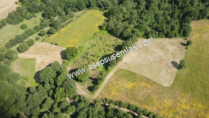 4.607 m2 Resmi Kadastro Yola & Orman Cepheli Hobi Bağ-Bahçesi