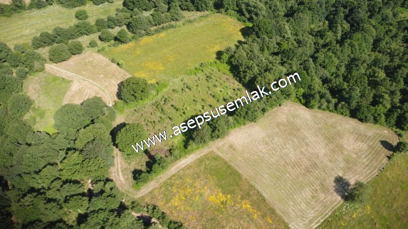 4.607 m2 Resmi Kadastro Yola & Orman Cepheli Hobi Bağ-Bahçesi