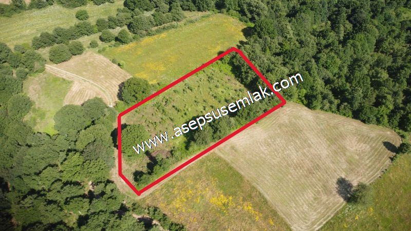 4.607 m2 Resmi Kadastro Yola & Orman Cepheli Hobi Bağ-Bahçesi