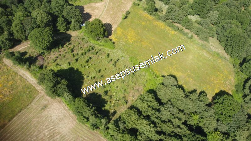 4.607 m2 Resmi Kadastro Yola & Orman Cepheli Hobi Bağ-Bahçesi