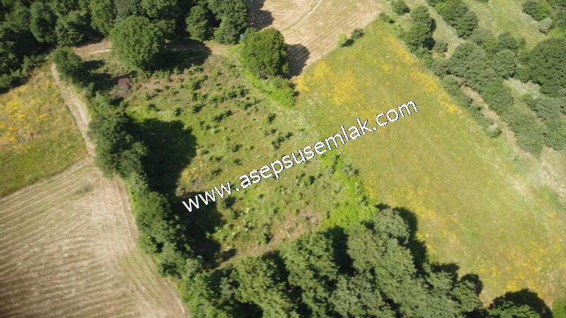 4.607 m2 Resmi Kadastro Yola & Orman Cepheli Hobi Bağ-Bahçesi