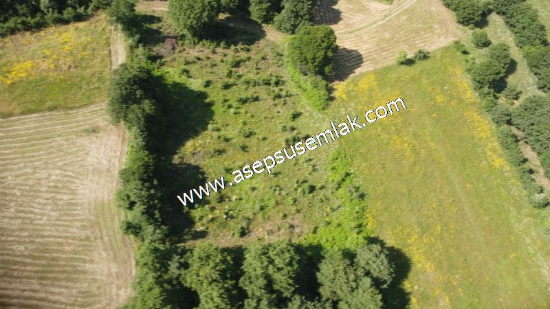 4.607 m2 Resmi Kadastro Yola & Orman Cepheli Hobi Bağ-Bahçesi