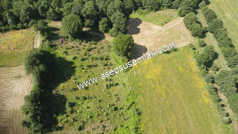 4.607 m2 Resmi Kadastro Yola & Orman Cepheli Hobi Bağ-Bahçesi