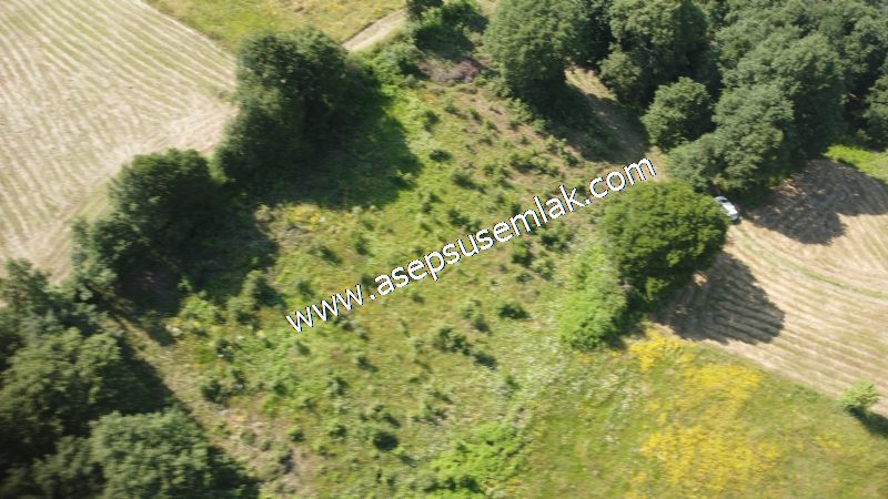 4.607 m2 Resmi Kadastro Yola & Orman Cepheli Hobi Bağ-Bahçesi