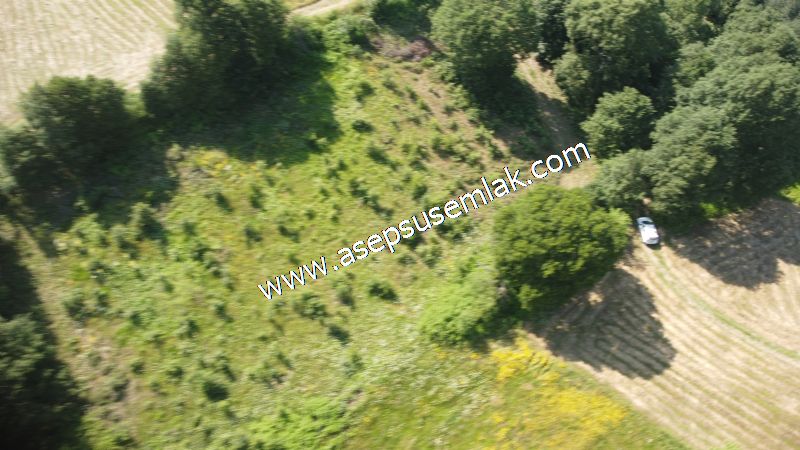 4.607 m2 Resmi Kadastro Yola & Orman Cepheli Hobi Bağ-Bahçesi