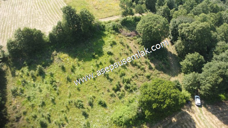 4.607 m2 Resmi Kadastro Yola & Orman Cepheli Hobi Bağ-Bahçesi