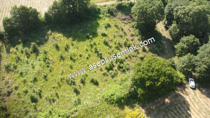 4.607 m2 Resmi Kadastro Yola & Orman Cepheli Hobi Bağ-Bahçesi
