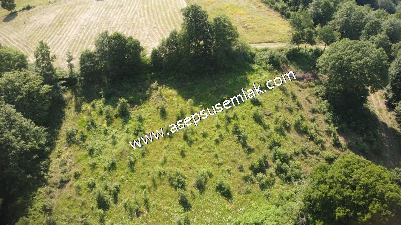 4.607 m2 Resmi Kadastro Yola & Orman Cepheli Hobi Bağ-Bahçesi