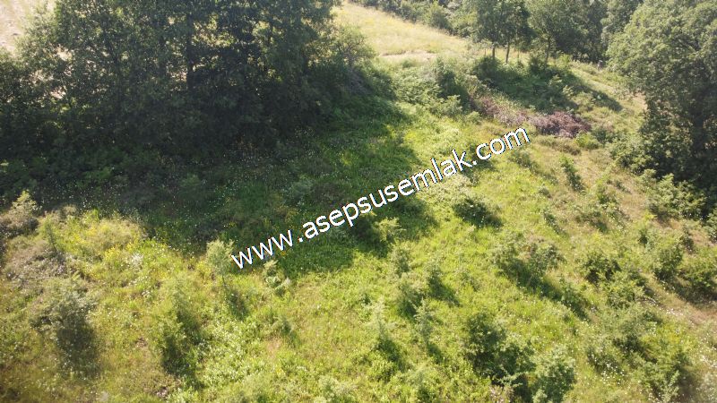 4.607 m2 Resmi Kadastro Yola & Orman Cepheli Hobi Bağ-Bahçesi