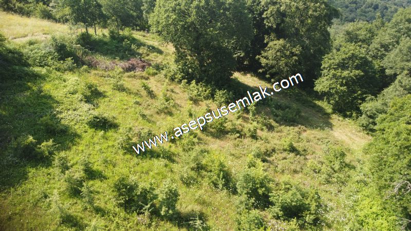 4.607 m2 Resmi Kadastro Yola & Orman Cepheli Hobi Bağ-Bahçesi