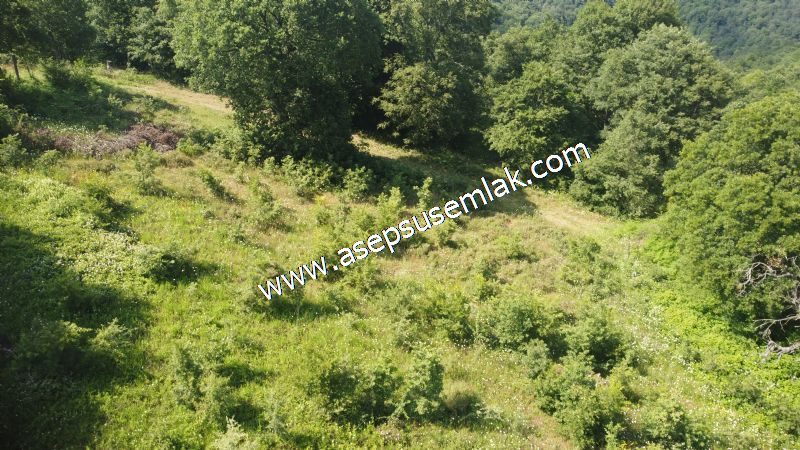 4.607 m2 Resmi Kadastro Yola & Orman Cepheli Hobi Bağ-Bahçesi