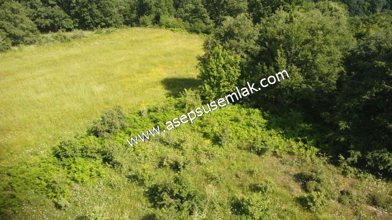 4.607 m2 Resmi Kadastro Yola & Orman Cepheli Hobi Bağ-Bahçesi