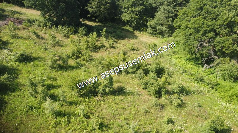 4.607 m2 Resmi Kadastro Yola & Orman Cepheli Hobi Bağ-Bahçesi