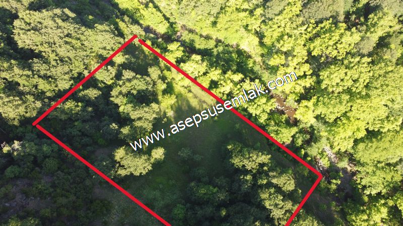 10.457 m2 Yatırımlık Tarla Bağ-Bahçe Ormana Cepheli Özel Yol var