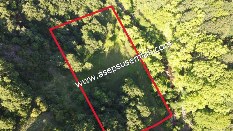 10.457 m2 Yatırımlık Tarla Bağ-Bahçe Ormana Cepheli Özel Yol var