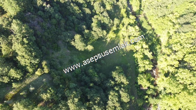 10.457 m2 Yatırımlık Tarla Bağ-Bahçe Ormana Cepheli Özel Yol var