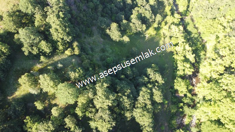 10.457 m2 Yatırımlık Tarla Bağ-Bahçe Ormana Cepheli Özel Yol var