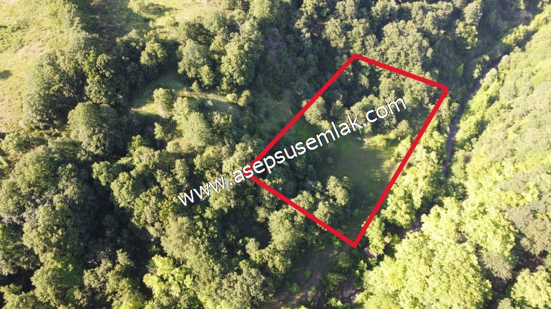 10.457 m2 Yatırımlık Tarla Bağ-Bahçe Ormana Cepheli Özel Yol var