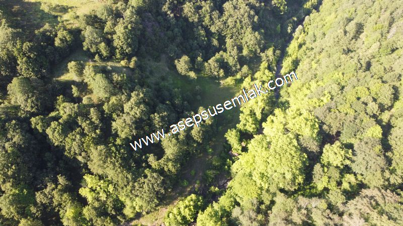10.457 m2 Yatırımlık Tarla Bağ-Bahçe Ormana Cepheli Özel Yol var