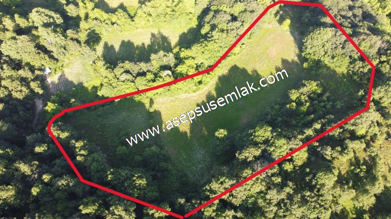 10.457 m2 Yatırımlık Tarla Bağ-Bahçe Ormana Cepheli Özel Yol var