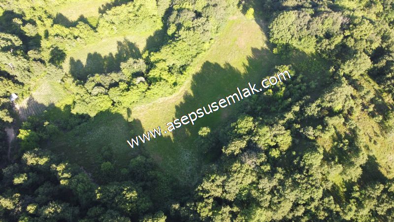 10.457 m2 Yatırımlık Tarla Bağ-Bahçe Ormana Cepheli Özel Yol var