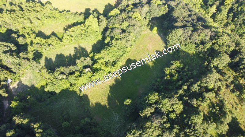10.457 m2 Yatırımlık Tarla Bağ-Bahçe Ormana Cepheli Özel Yol var