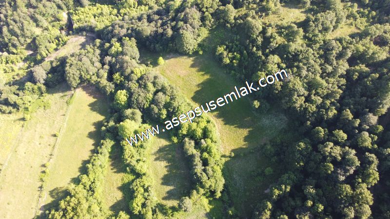 10.457 m2 Yatırımlık Tarla Bağ-Bahçe Ormana Cepheli Özel Yol var