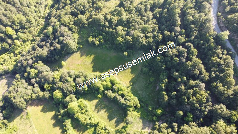 10.457 m2 Yatırımlık Tarla Bağ-Bahçe Ormana Cepheli Özel Yol var