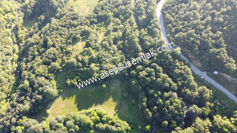 10.457 m2 Yatırımlık Tarla Bağ-Bahçe Ormana Cepheli Özel Yol var