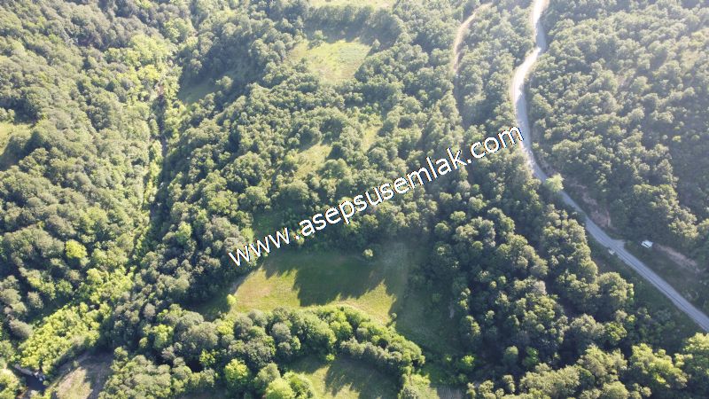 10.457 m2 Yatırımlık Tarla Bağ-Bahçe Ormana Cepheli Özel Yol var