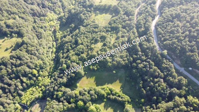 10.457 m2 Yatırımlık Tarla Bağ-Bahçe Ormana Cepheli Özel Yol var