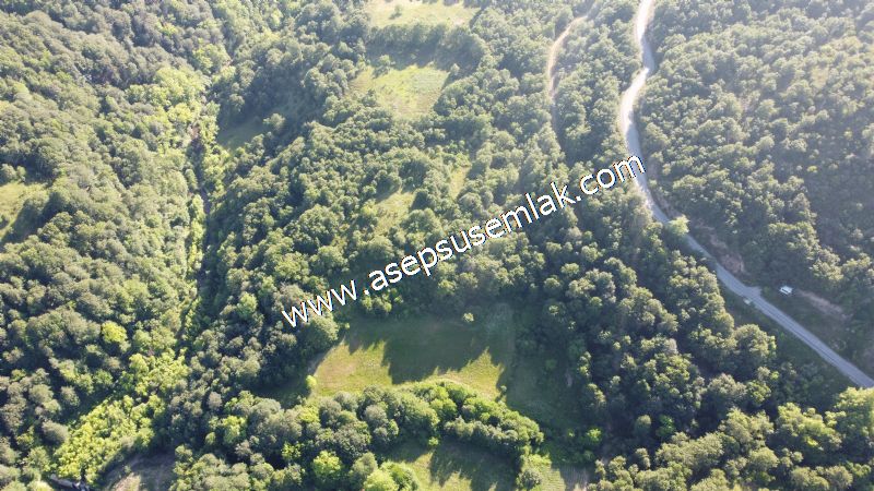10.457 m2 Yatırımlık Tarla Bağ-Bahçe Ormana Cepheli Özel Yol var