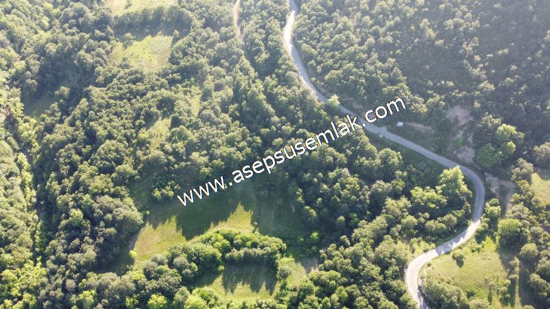 10.457 m2 Yatırımlık Tarla Bağ-Bahçe Ormana Cepheli Özel Yol var