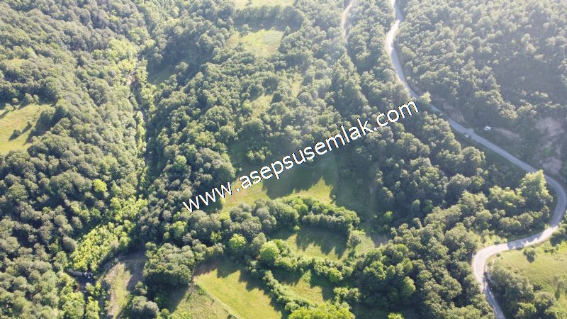 10.457 m2 Yatırımlık Tarla Bağ-Bahçe Ormana Cepheli Özel Yol var