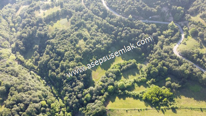 10.457 m2 Yatırımlık Tarla Bağ-Bahçe Ormana Cepheli Özel Yol var