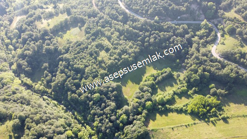 10.457 m2 Yatırımlık Tarla Bağ-Bahçe Ormana Cepheli Özel Yol var