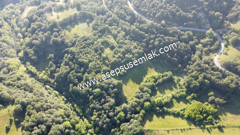 10.457 m2 Yatırımlık Tarla Bağ-Bahçe Ormana Cepheli Özel Yol var