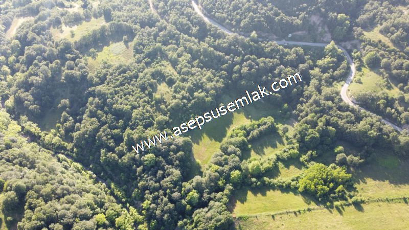 10.457 m2 Yatırımlık Tarla Bağ-Bahçe Ormana Cepheli Özel Yol var
