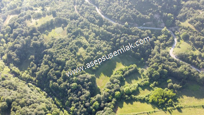 10.457 m2 Yatırımlık Tarla Bağ-Bahçe Ormana Cepheli Özel Yol var