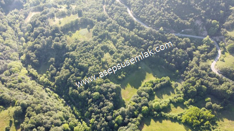 10.457 m2 Yatırımlık Tarla Bağ-Bahçe Ormana Cepheli Özel Yol var