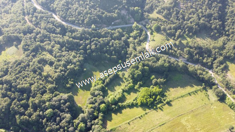 10.457 m2 Yatırımlık Tarla Bağ-Bahçe Ormana Cepheli Özel Yol var