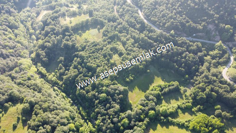 10.457 m2 Yatırımlık Tarla Bağ-Bahçe Ormana Cepheli Özel Yol var
